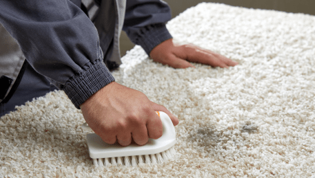 Professional Rug Cleaning Pakenham